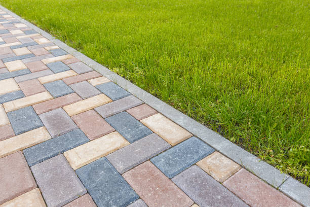 Best Decorative Driveway Pavers  in Perry, FL